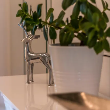 Apartamento Urlaubstraum In Salzburgs Toplage *